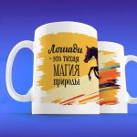 Кружка конный спорт