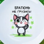 Тарелка братюнь не грузись