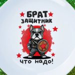 Тарелка брат защитник