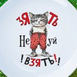 Тарелка "Зять взять нечего"