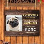 Табличка злая собака мопс