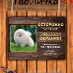 Табличка злая собака шпиц