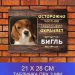 Табличка злая собака бигль