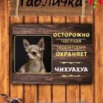 Табличка злая собака чихуахуа