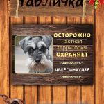 Табличка злая собака цвергшнауцер