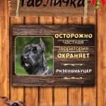 Табличка злая собака ризеншнауцер