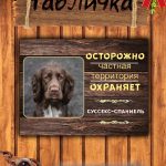 Табличка злая собака суссекс спаниель