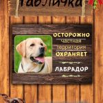 Табличка злая собака лабрадор