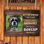 Табличка злая собака боксер