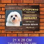 Табличка злая собака бишон