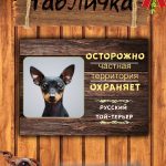 Табличка злая собака той-терьер