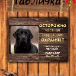 Табличка злая собака черный лабрадор
