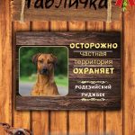 Табличка злая собака родезийский риджбек