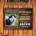 Табличка злая собака хаски