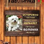 Табличка злая собака болонка