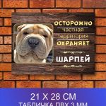 Табличка злая собака шарпей