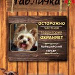 Табличка злая собака йоркширский терьер