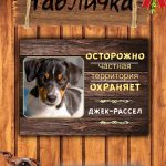 Табличка злая собака джек рассел