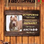 Табличка злая собака стафф