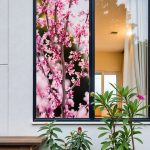 Москитная сетка на окно ветка