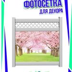 Фотосетки грибная в саду