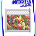 Фотосетка на дачу Тюльпаны