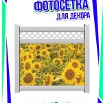 Фото баннер на забор с подсолнухами