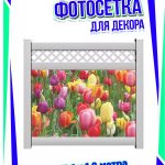 Фотофасад для забора с принтом Тюльпаны