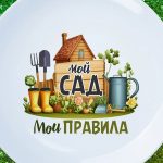 Тарелка 'Мой сад, мои правила' - Подарок