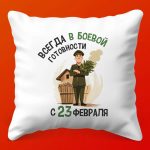 Подушка Банщик - подарок на 23 февраля